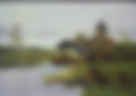 La riviere et le moulin (preview)