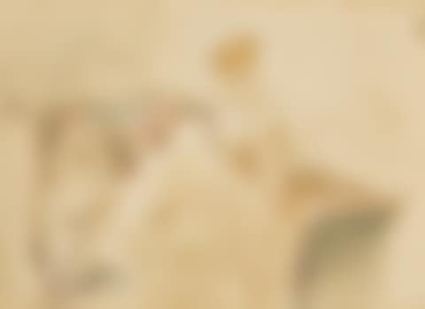 La Broderie (preview)
