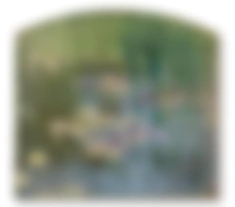 Nymphéas (preview)