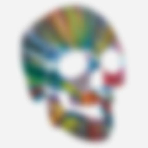Skull Spin Painting (preview)