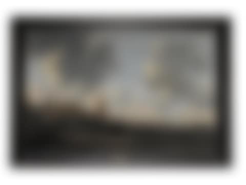Hendrik de Meijer (Rotterdam circa 1620- after 1689) (preview)