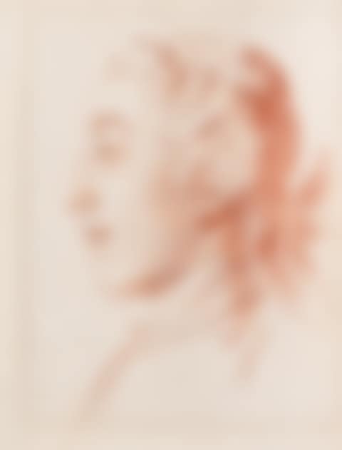 Portrait traditionally identified as King Louis XV of France, in profile facing left unframed (preview)