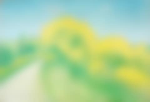 Route en été (preview)