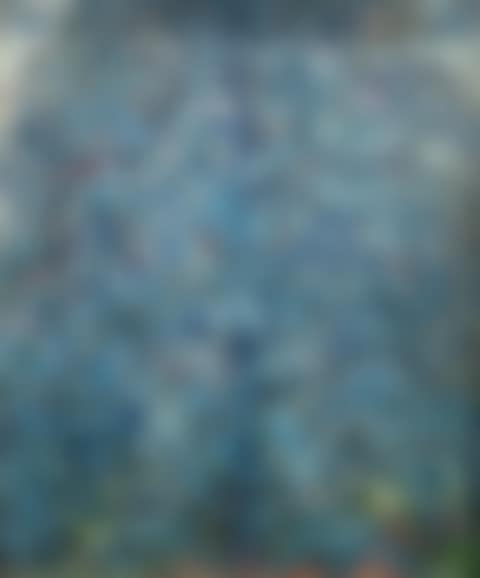 The Blue Tree (preview)