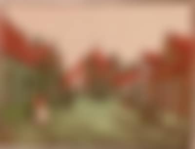 Carl Thiemann * (preview)