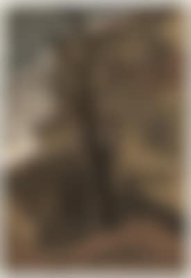 Hede Jahn * (preview)