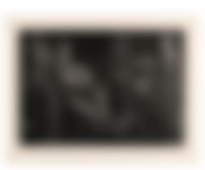 Pablo Picasso * (preview)