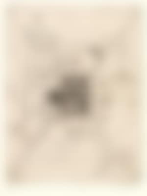 Hermann Nitsch * (preview)