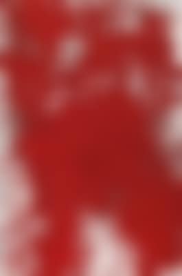 Hermann Nitsch * (preview)