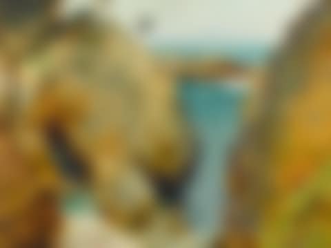 Point Lobos (preview)