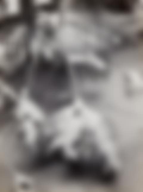 Branches in Snow (preview)