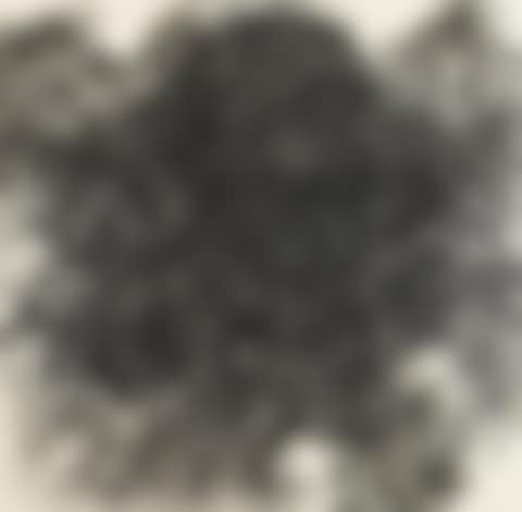 Untitled (Hair) (preview)