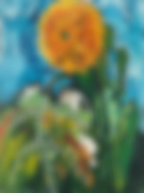 Sunflower (preview)