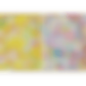 1. An Homage to Monogold, 1960 D／2. An Homage to Yves Klein, Multicolor C (preview)