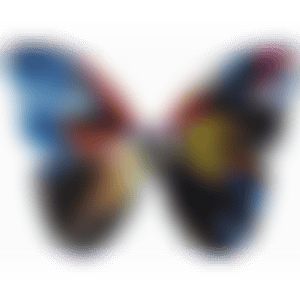 Spin Painting (Butterfly) (preview)