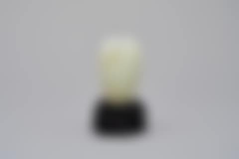 A white jade "citrus fruit" (preview)