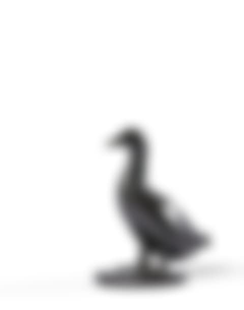 Canard (preview)