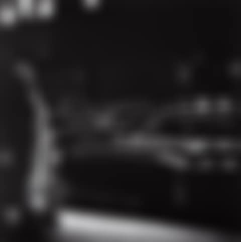 Metropolitan Opera, New York City (gala opening) (preview)