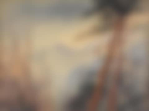 Windswept Trees (preview)