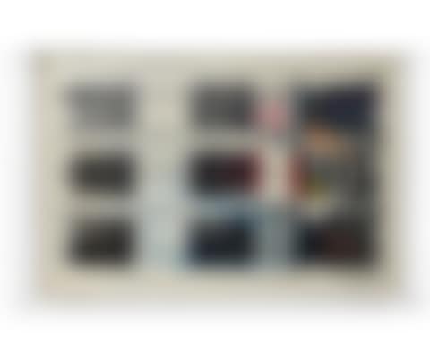 Agamographie (preview)