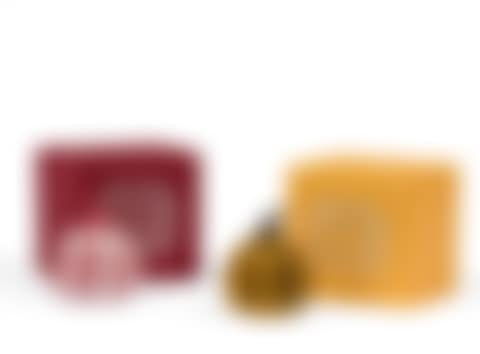 Pumpkin (set de 2) (preview)