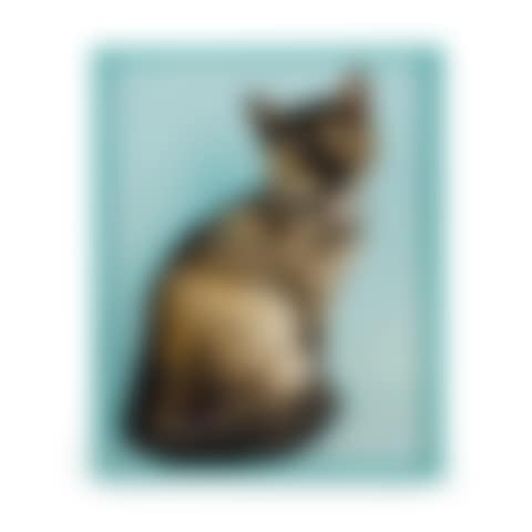 British Shorthair Tortie (preview)