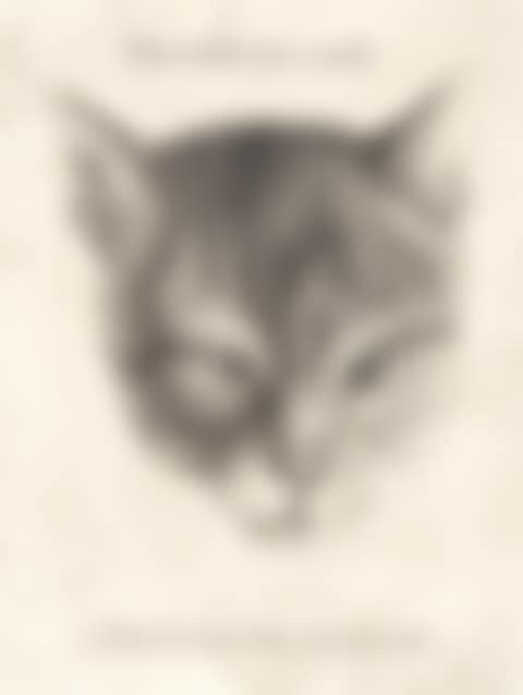 Head of a Cat (preview)