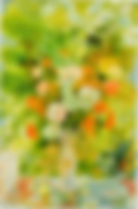 Spring banquet (preview)