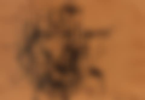 Untitled (preview)