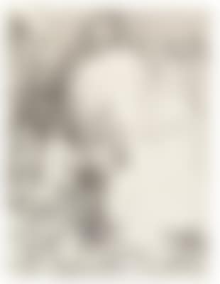 Rembrandt Harmensz van Rijn (preview)