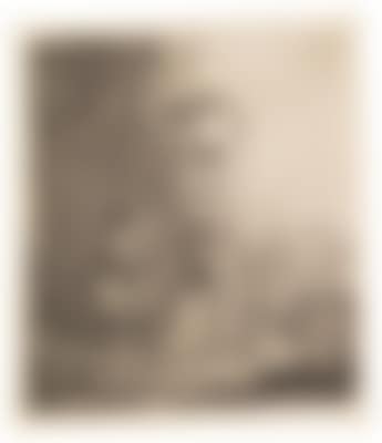 Rembrandt Harmensz van Rijn (preview)