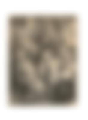 Rembrandt Harmensz van Rijn (preview)