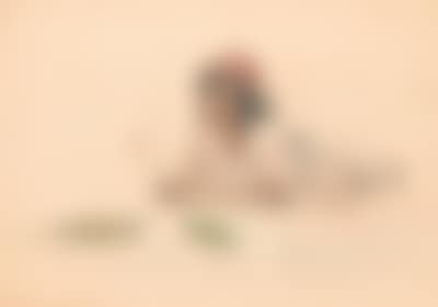 Adolf Meckel von Hemsbach (preview)