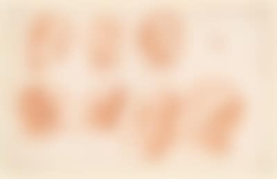 Johann Georg Grasmaier School of, (preview)
