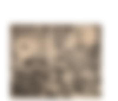 Rembrandt Harmensz van Rijn (preview)