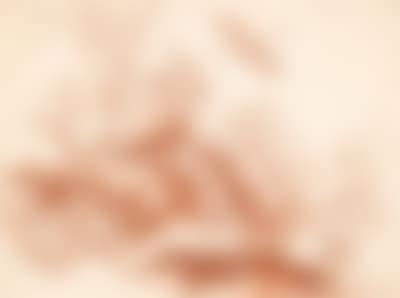 Abraham Danielsz. Hondius Follower of, (preview)