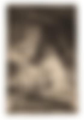 Rembrandt Harmensz van Rijn (preview)