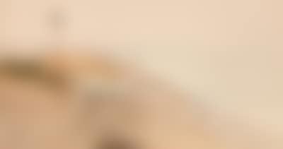Raffaelle Mainella (preview)