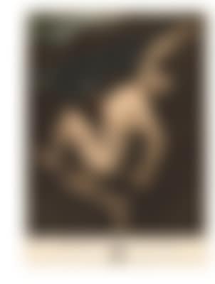 Joseph Adriaen Clarot (preview)