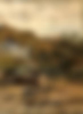 Wachau, Boats by the River Bank (preview)