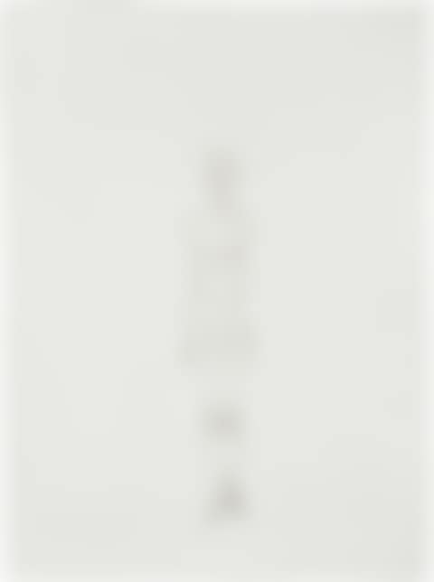Standing Nude II (L. 36) (preview)
