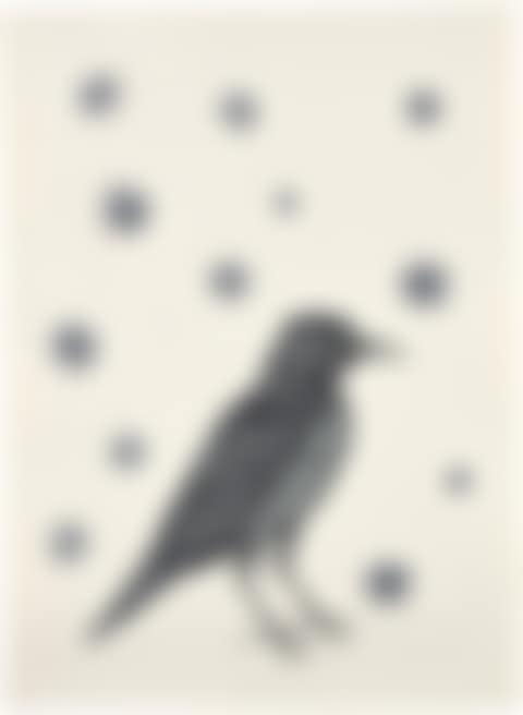 Bird with Stars (preview)