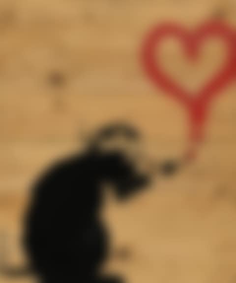 Love Rat on palette  (preview)