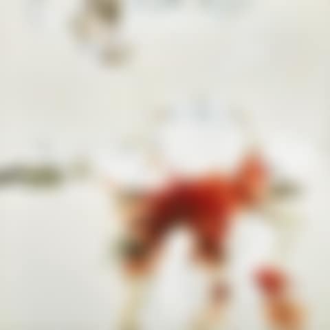 Untitled  (preview)