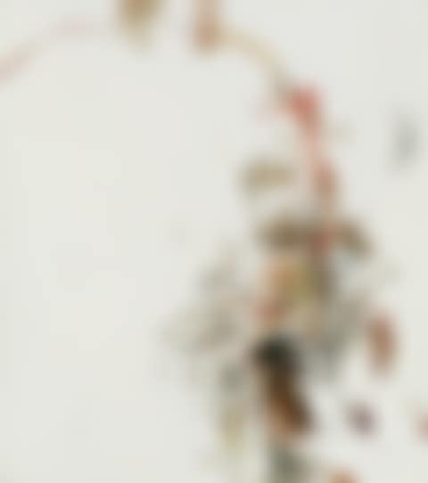 Perspektif 01 (preview)
