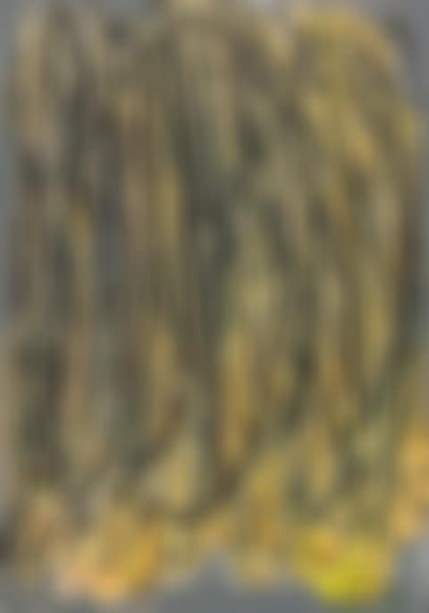 Bodyscape 76-1-2017 (preview)