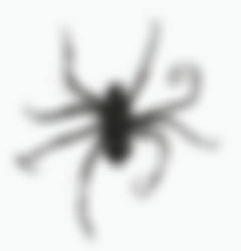 Spider IV  (preview)