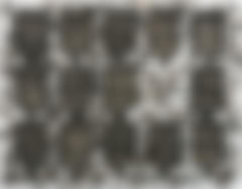 The Crowd  (preview)