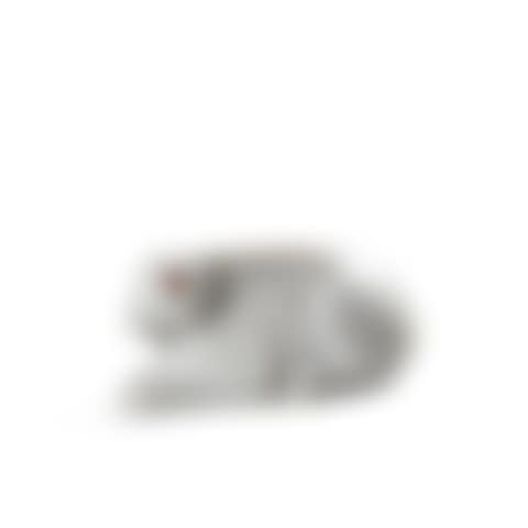 Le Lapin (preview)