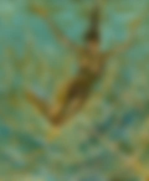 Mermaid (preview)